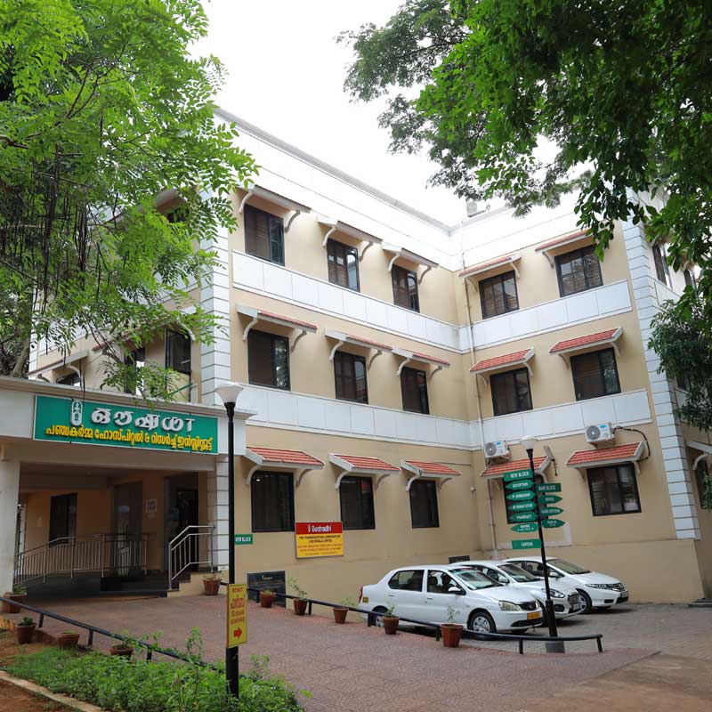 Panchakarma Ayurvedic detoxification